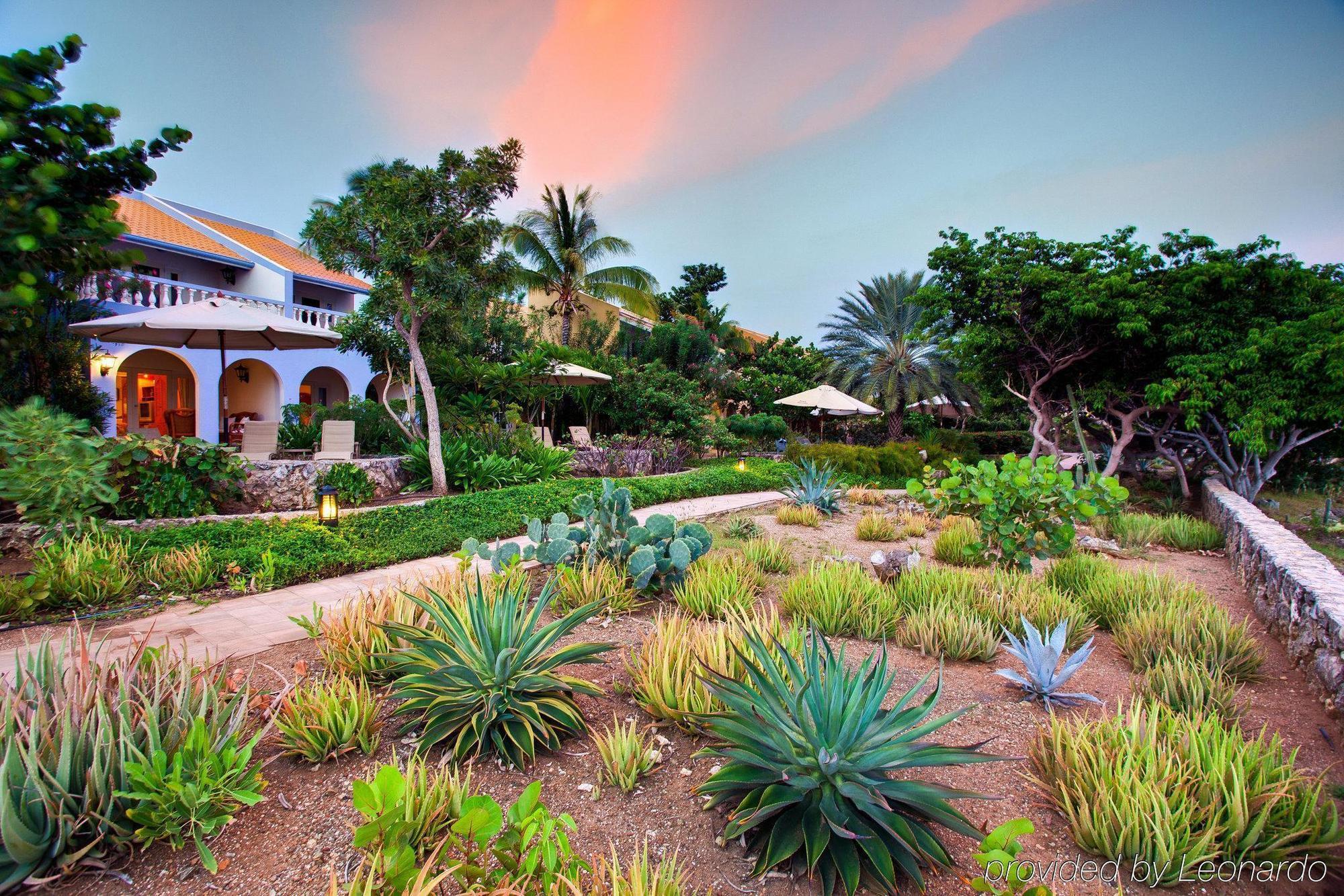 Kura Hulanda Lodge & Beach Club Westpunt Facilidades foto